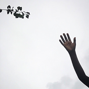 hand reaching up on corner against a pale cloudy sky, with a silhouette of a tree branch